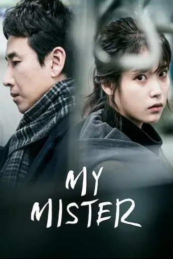 دانلود سریال My Mister 2018