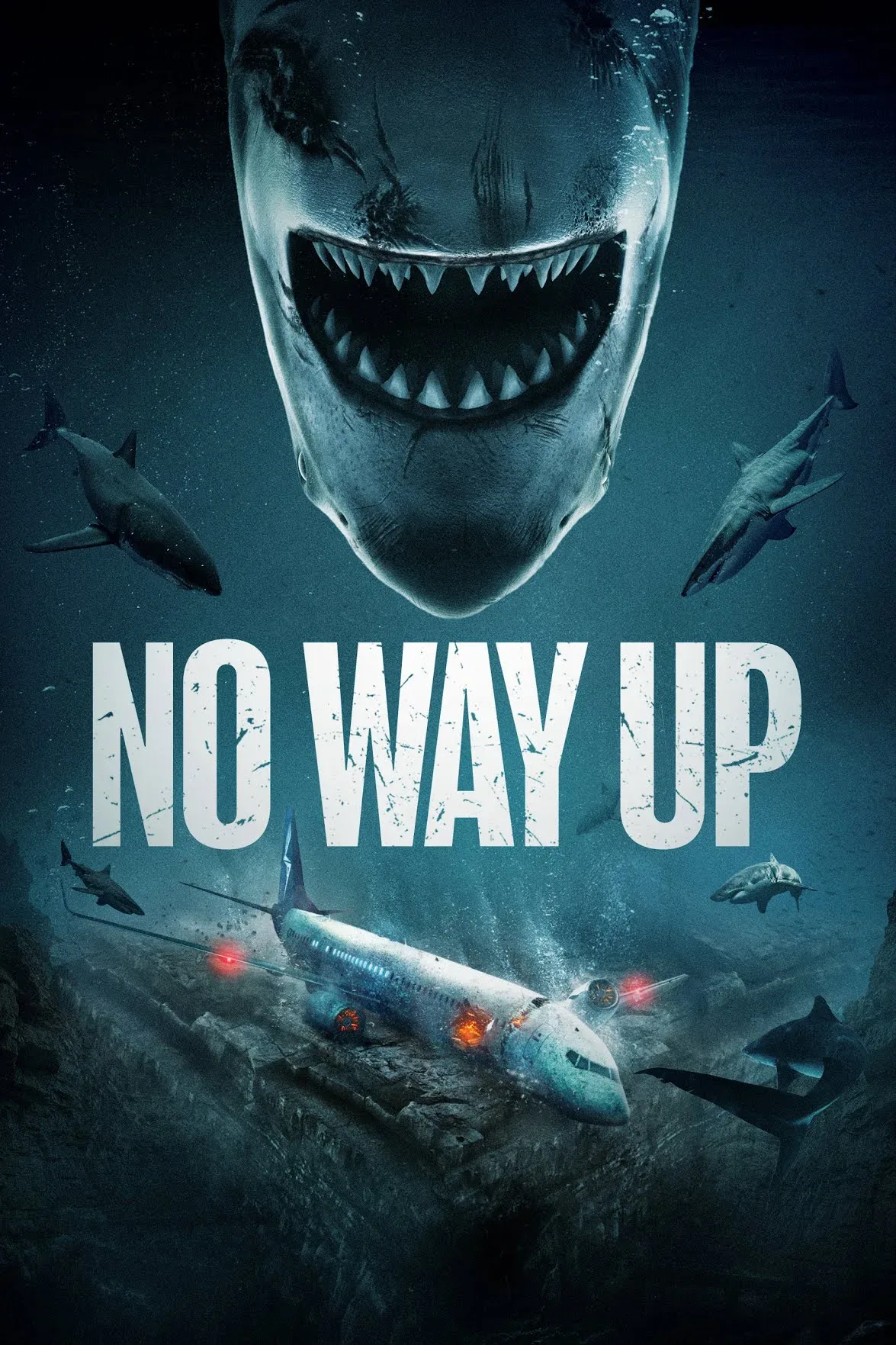 فیلم راهی به بالا نیست No Way Up 2024