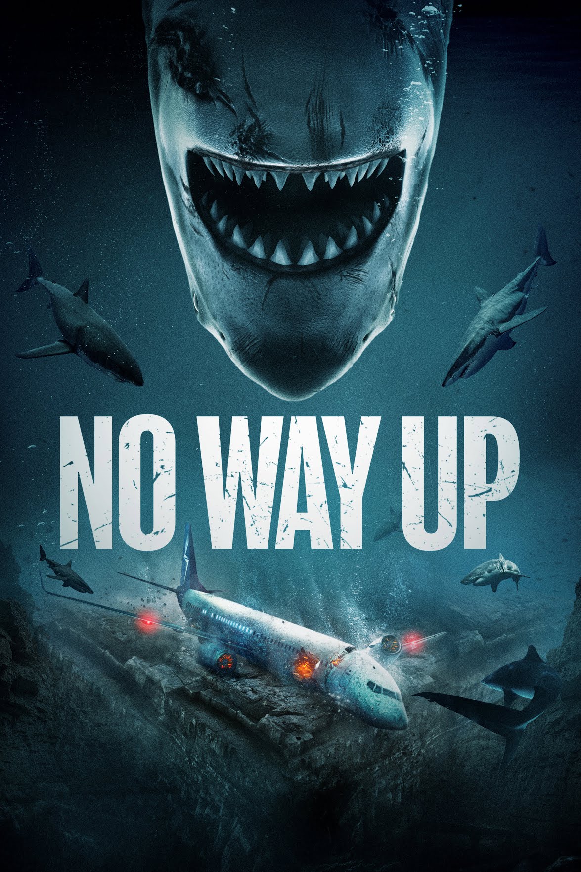 فیلم راهی به بالا نیست No Way Up 2024 | دوبله فارسی