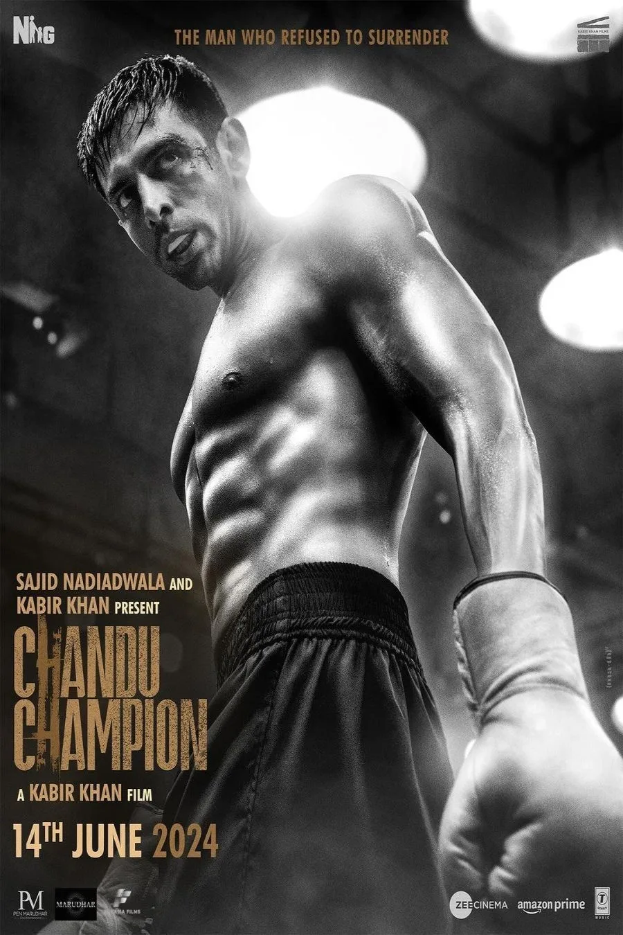 فیلم چاندوی قهرمان (Chandu Champion 2024) | زیرنویس فارسی