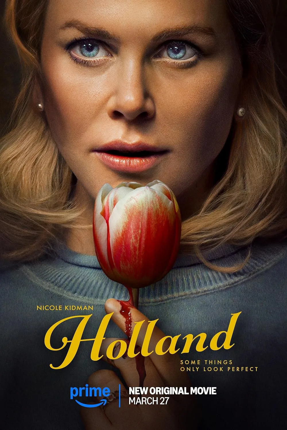 فیلم هلند (Holland 2025) | زیرنویس فارسی
